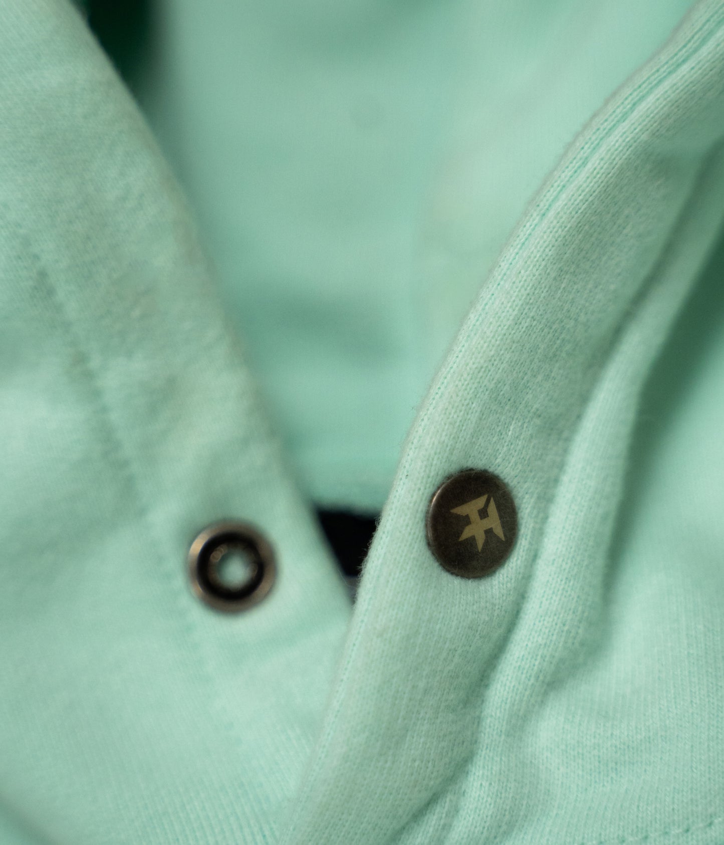 TT Pure Fresh Mint Hoodie